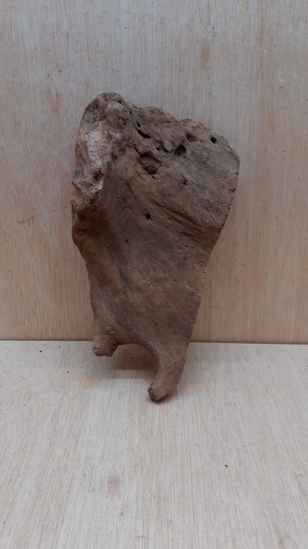 Driftwood - Small 8