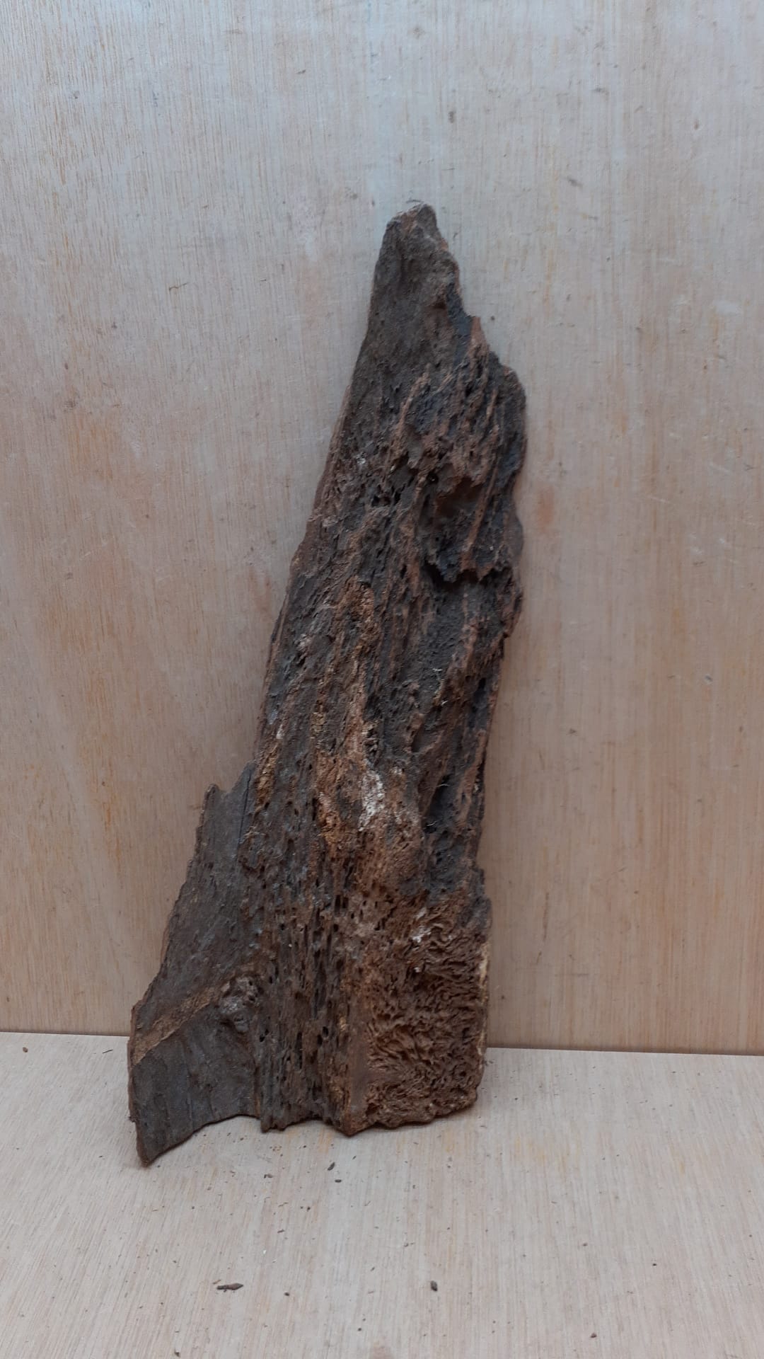 Driftwood - Large 3