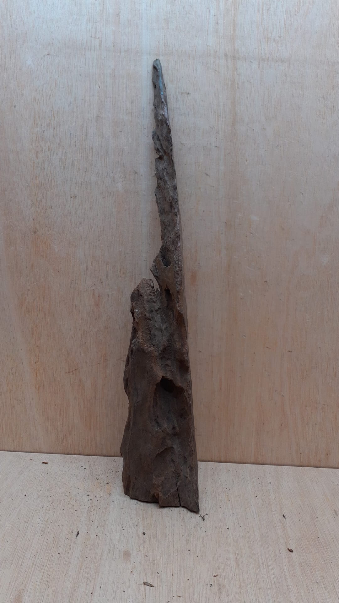 Driftwood - XL 9