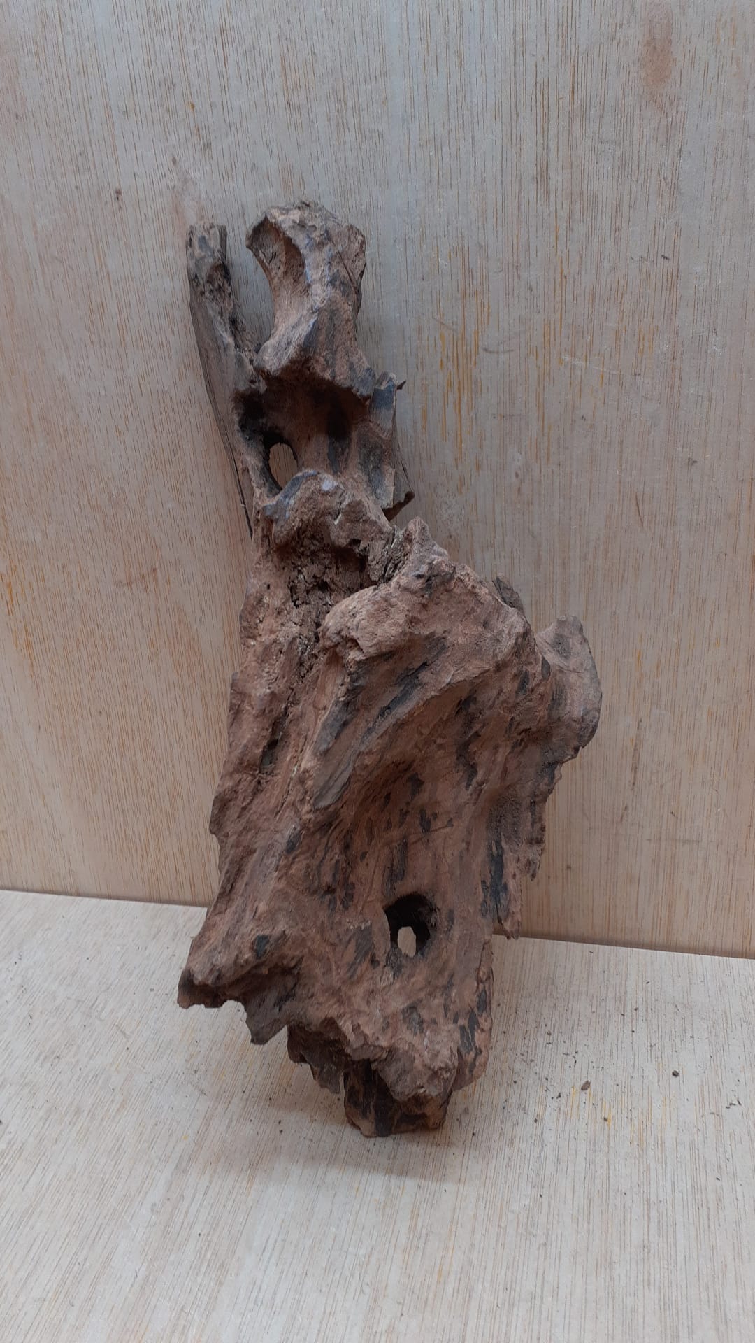 Driftwood - Medium 7
