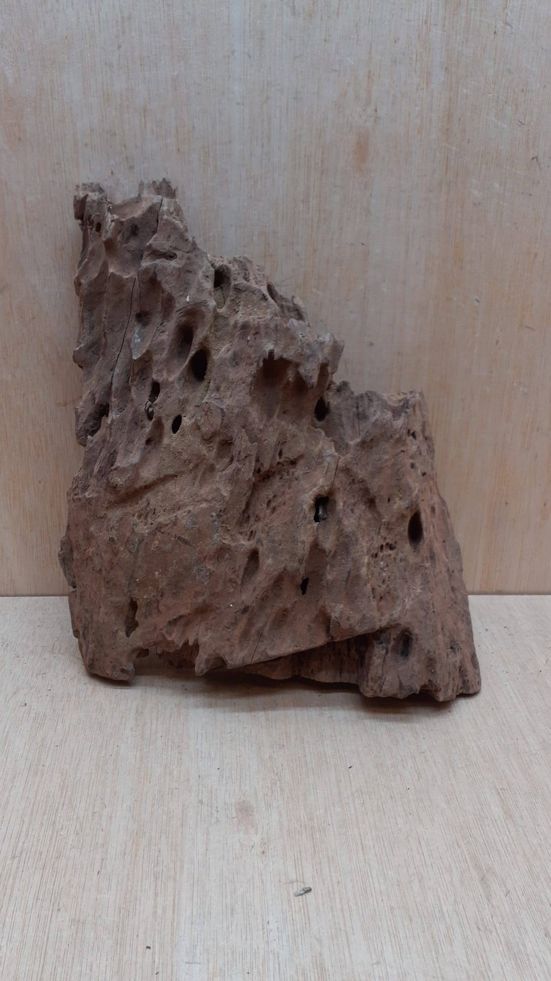 Driftwood - Large 5