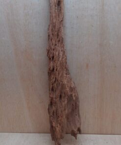 Driftwood - XL 8