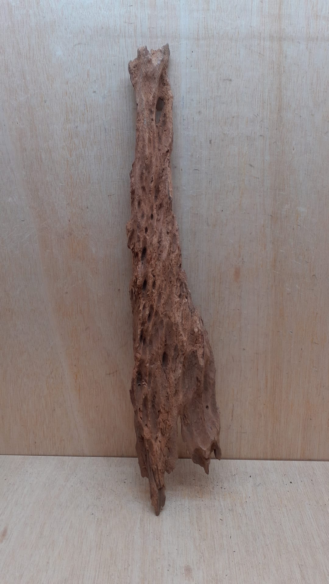 Driftwood - XL 8