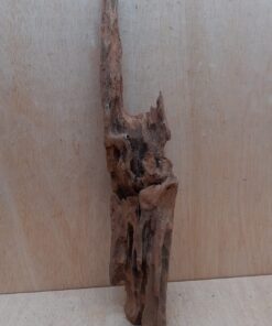 Driftwood - XL 11