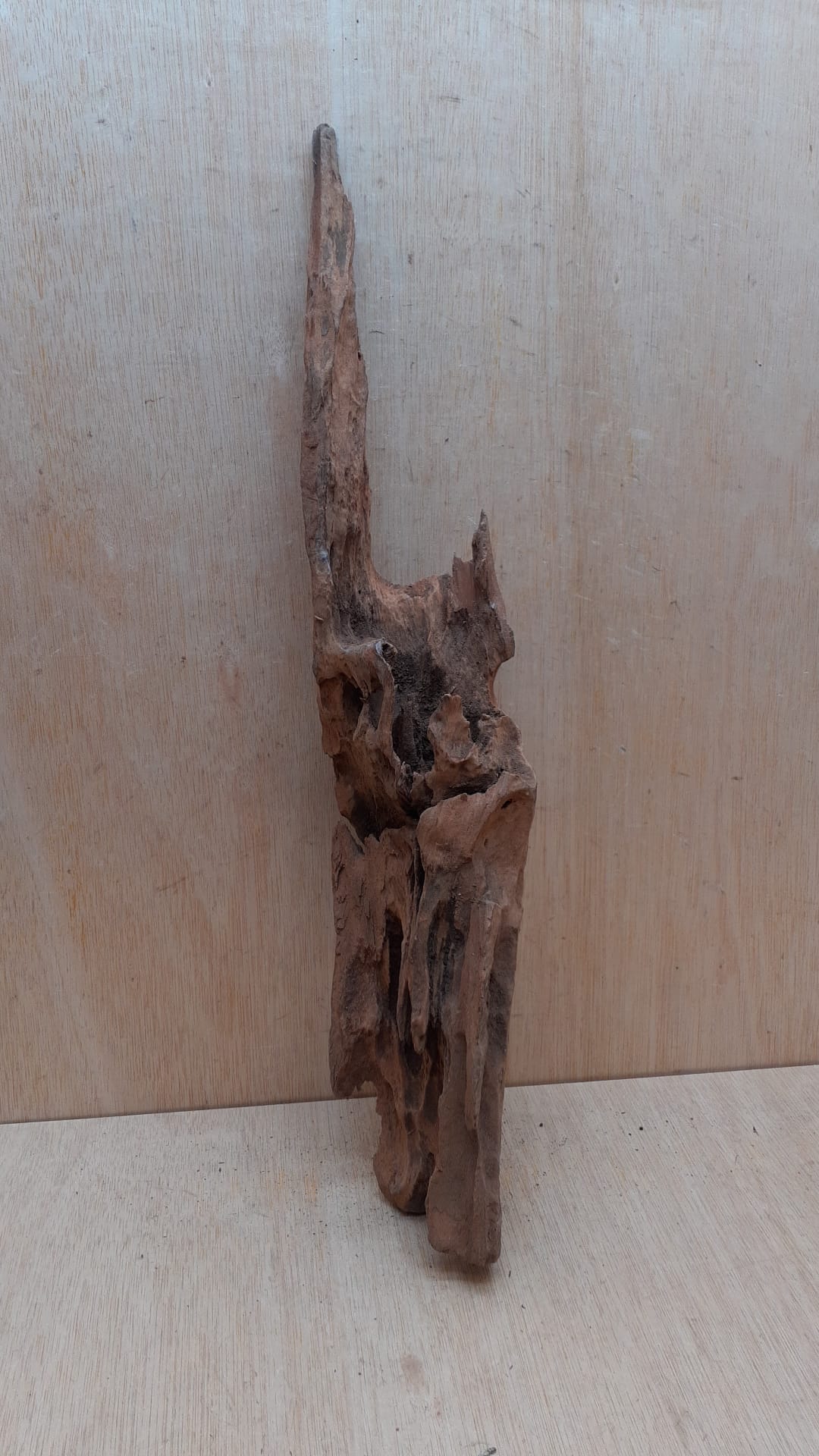 Driftwood - XL 11
