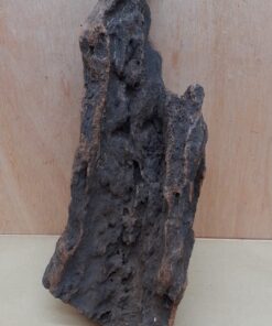 Driftwood - XL 4