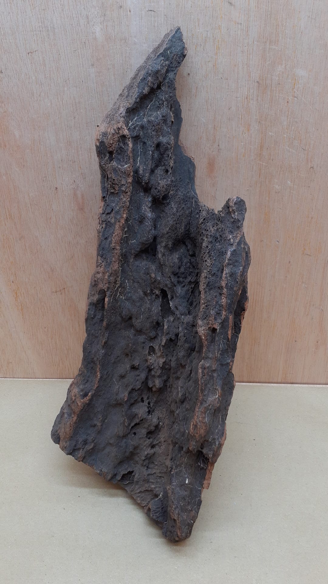 Driftwood - XL 4