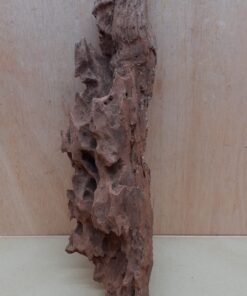 Driftwood - XL 6