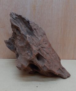 Driftwood - Medium 13