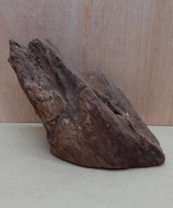 Driftwood - Medium 20