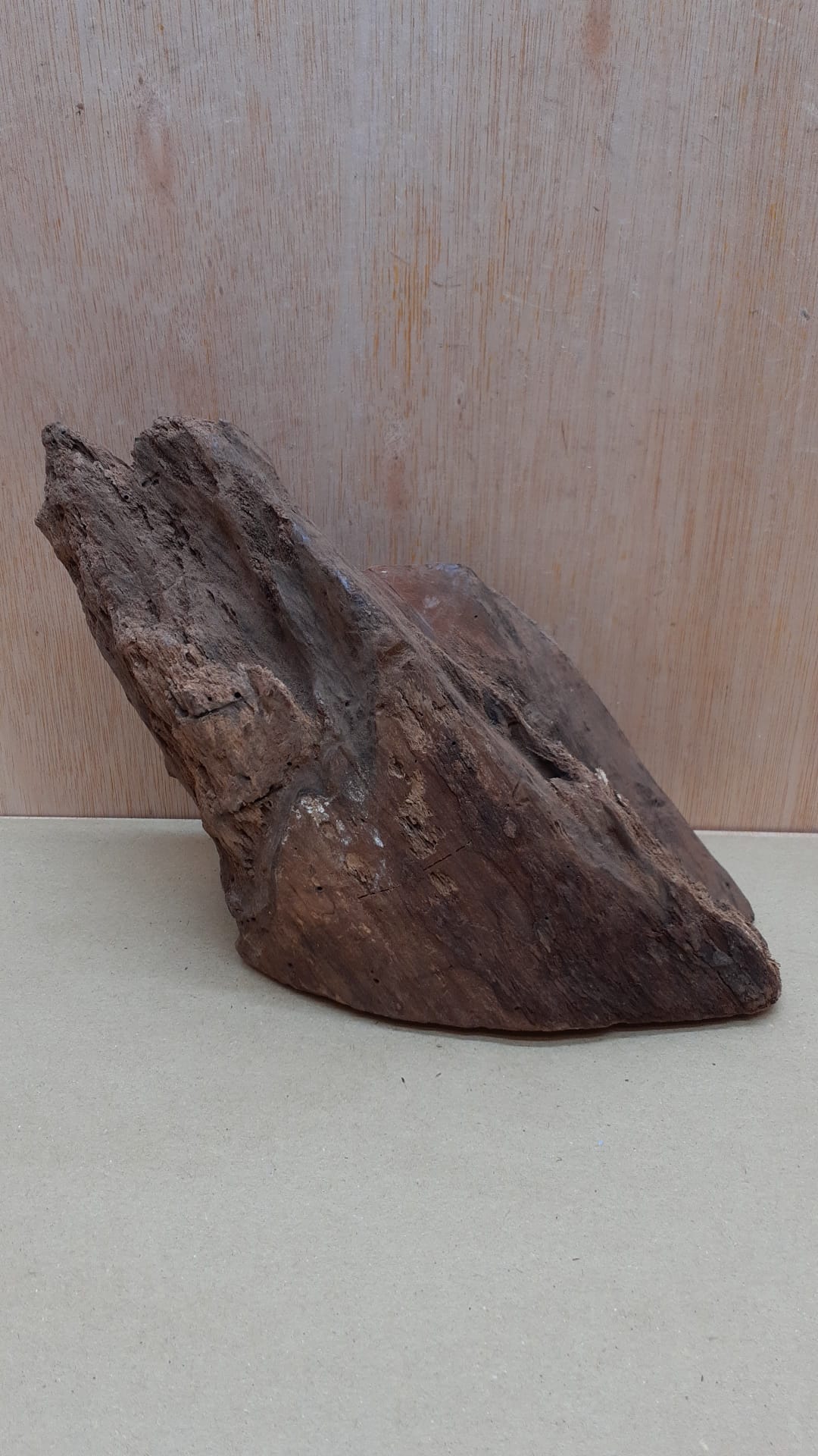 Driftwood - Medium 20