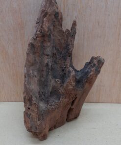 Driftwood - Small 15