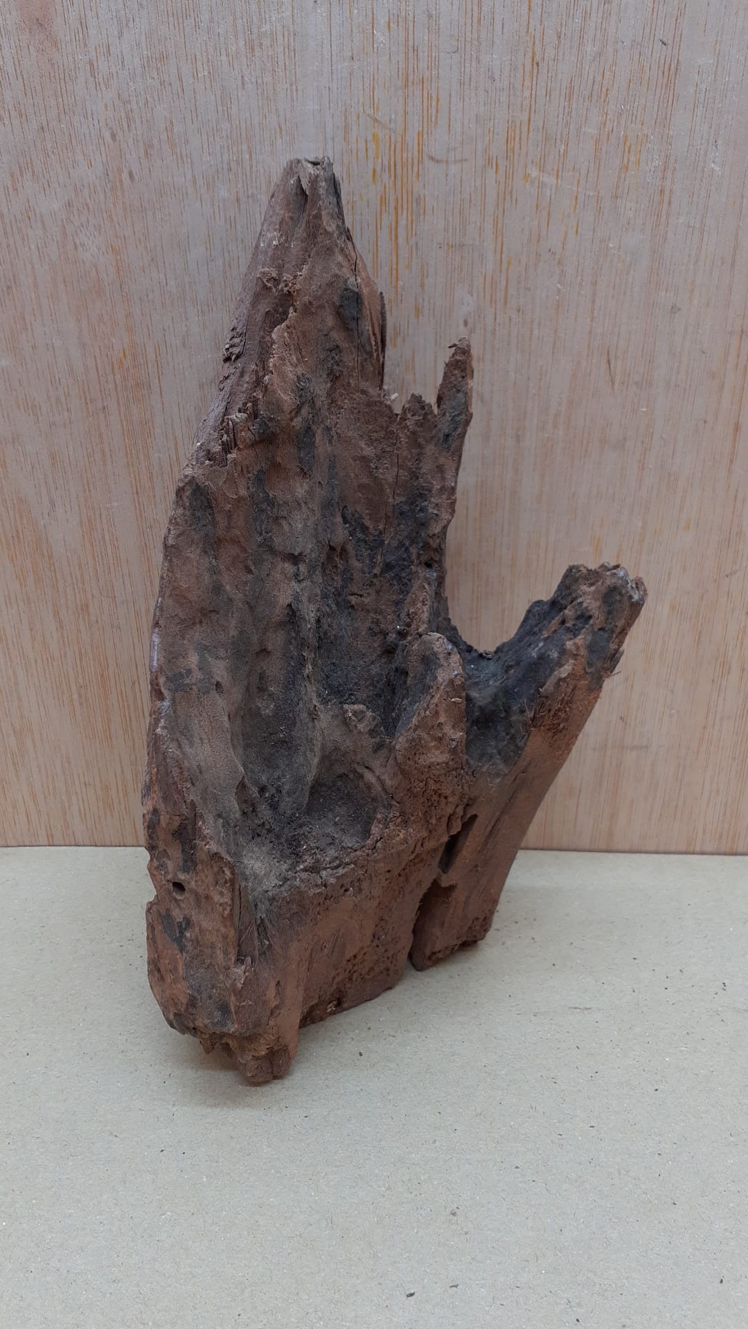 Driftwood - Small 15