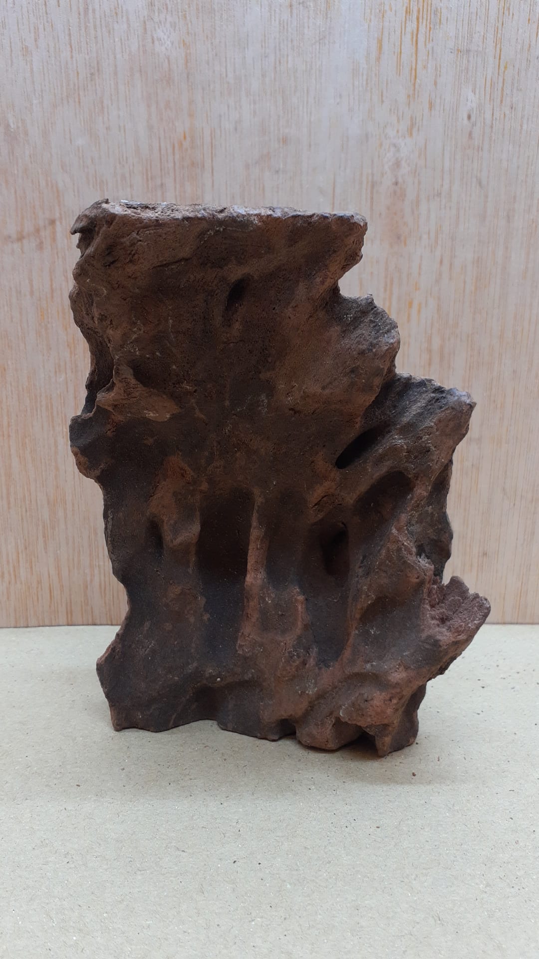 Driftwood - Small 17