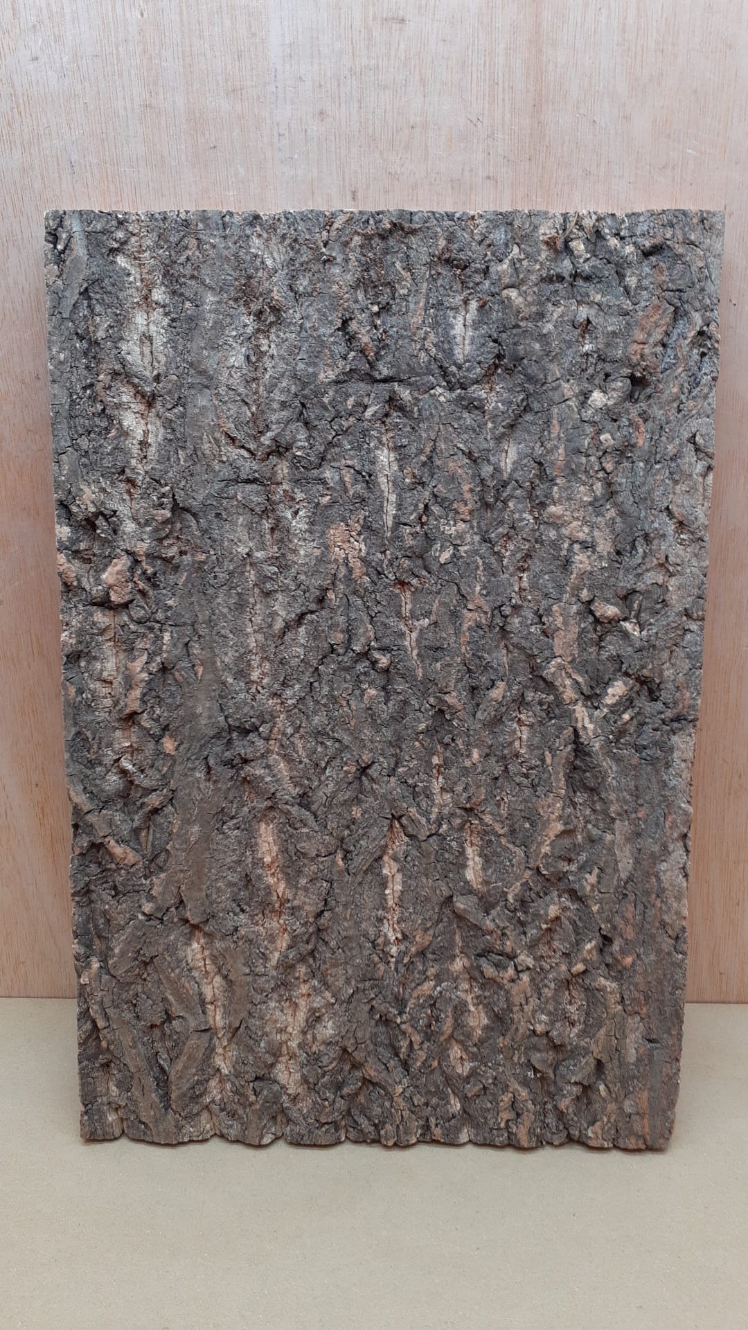 Cork Bark Background Panel 30x45cm - 3