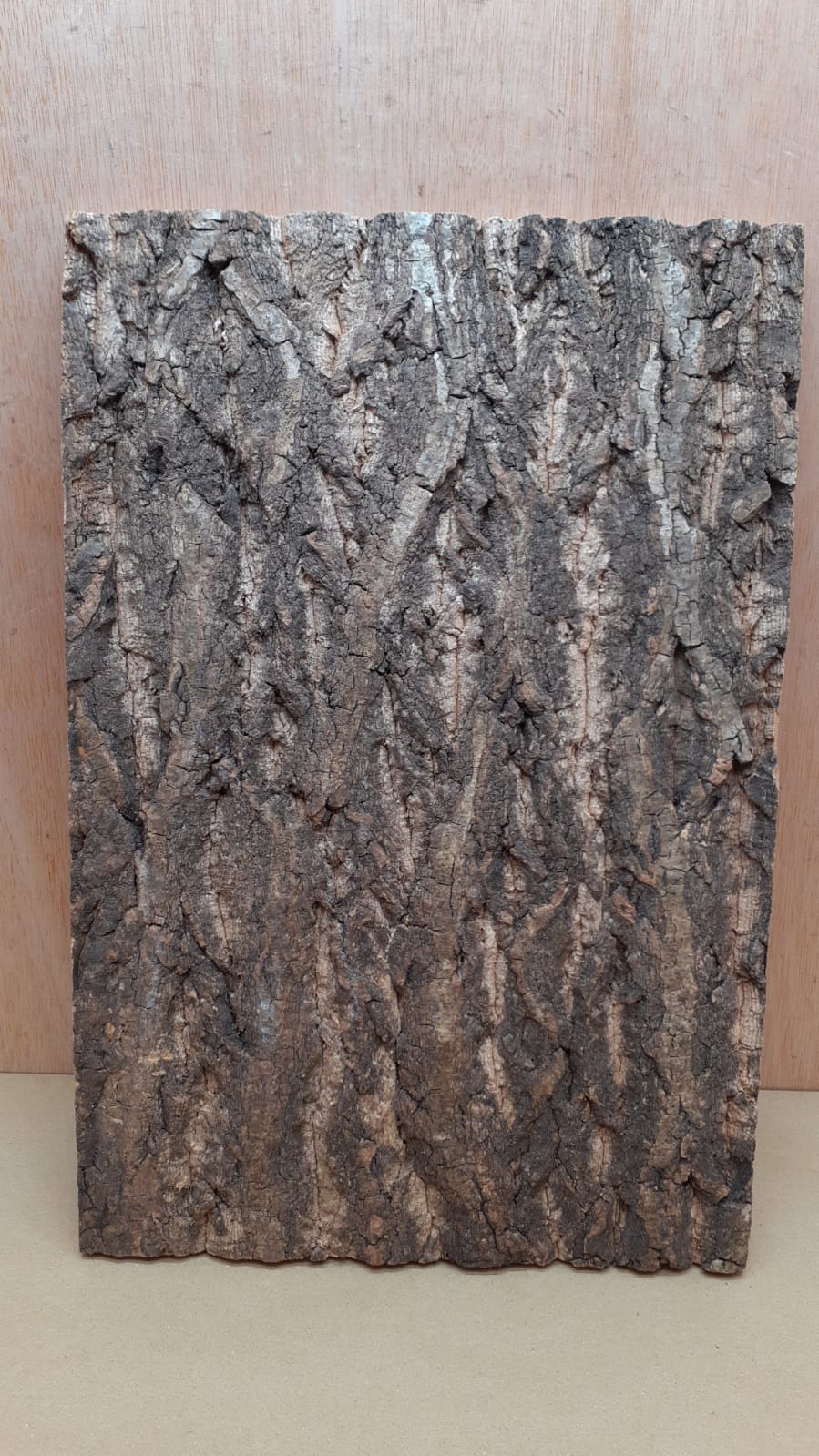Cork Bark Background Panel 30x45cm - 6