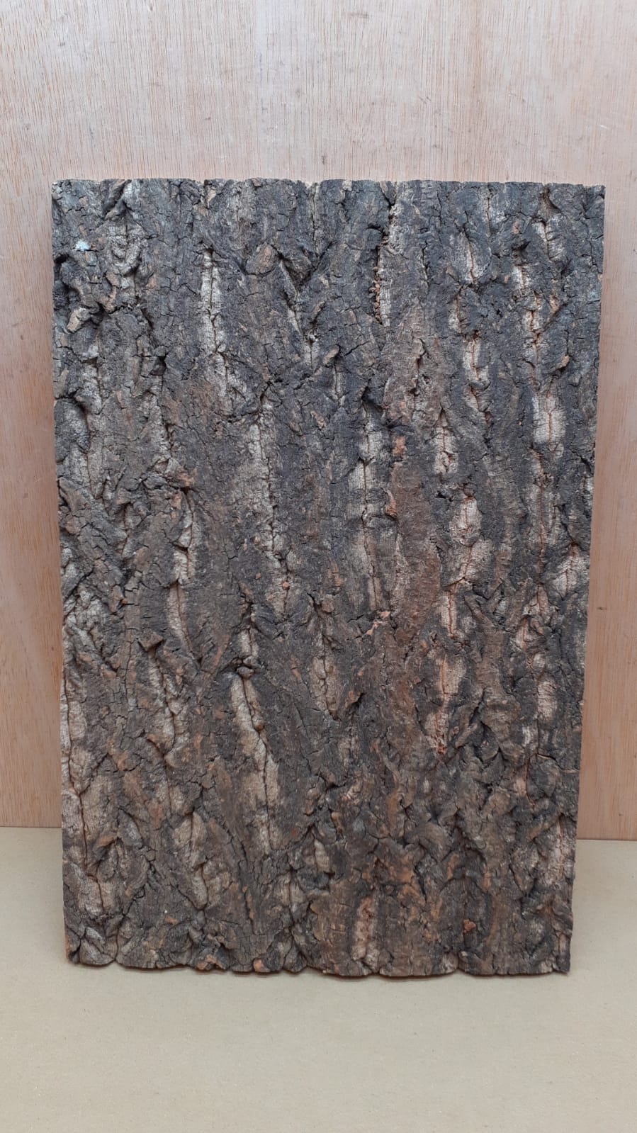 Cork Bark Background Panel 30x45cm - 9