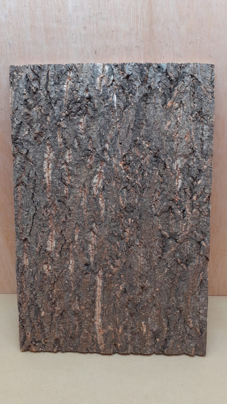 Cork Bark Background Panel 30x45cm - 10
