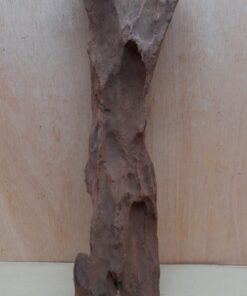 Driftwood - XL 12