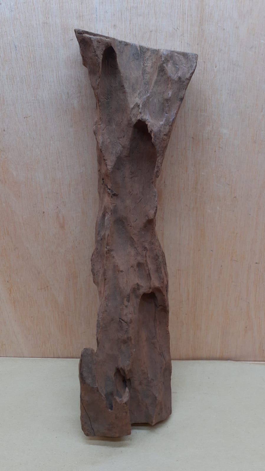 Driftwood - XL 12