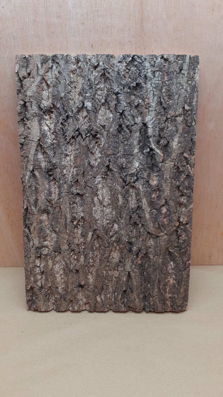 Cork Bark Background Panel 30x45cm - 5