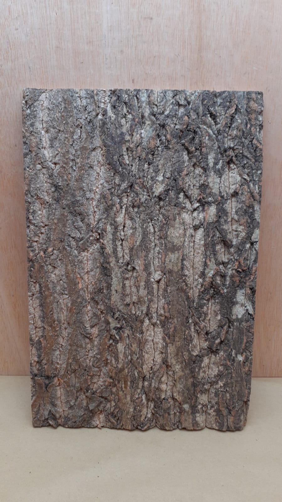 Cork Bark Background Panel 30x45cm - 7