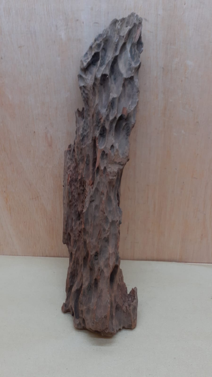 Driftwood - XL 13
