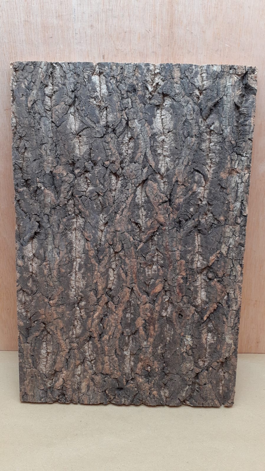 Cork Bark Background Panel 30x45cm - 8