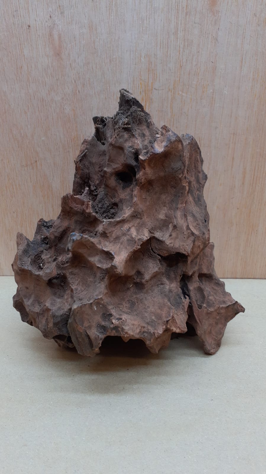 Driftwood - Small 7
