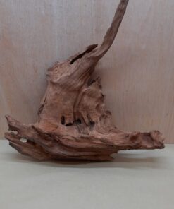 Driftwood - XL 1
