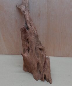 Driftwood - XL 2