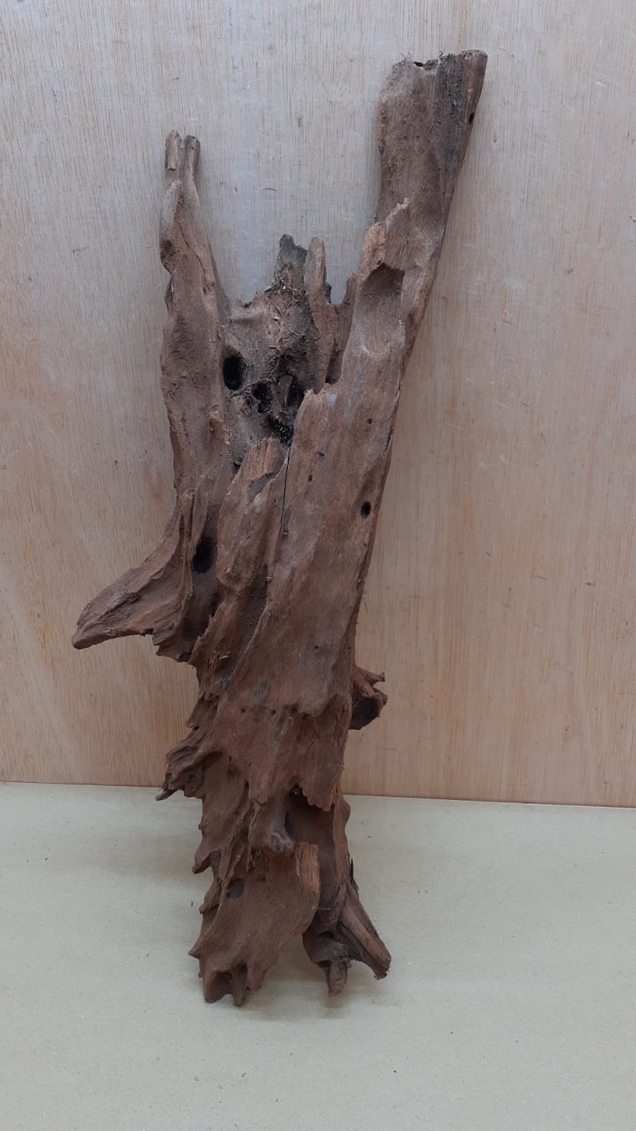 Driftwood - XL 7