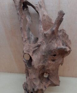 Driftwood - XL 15