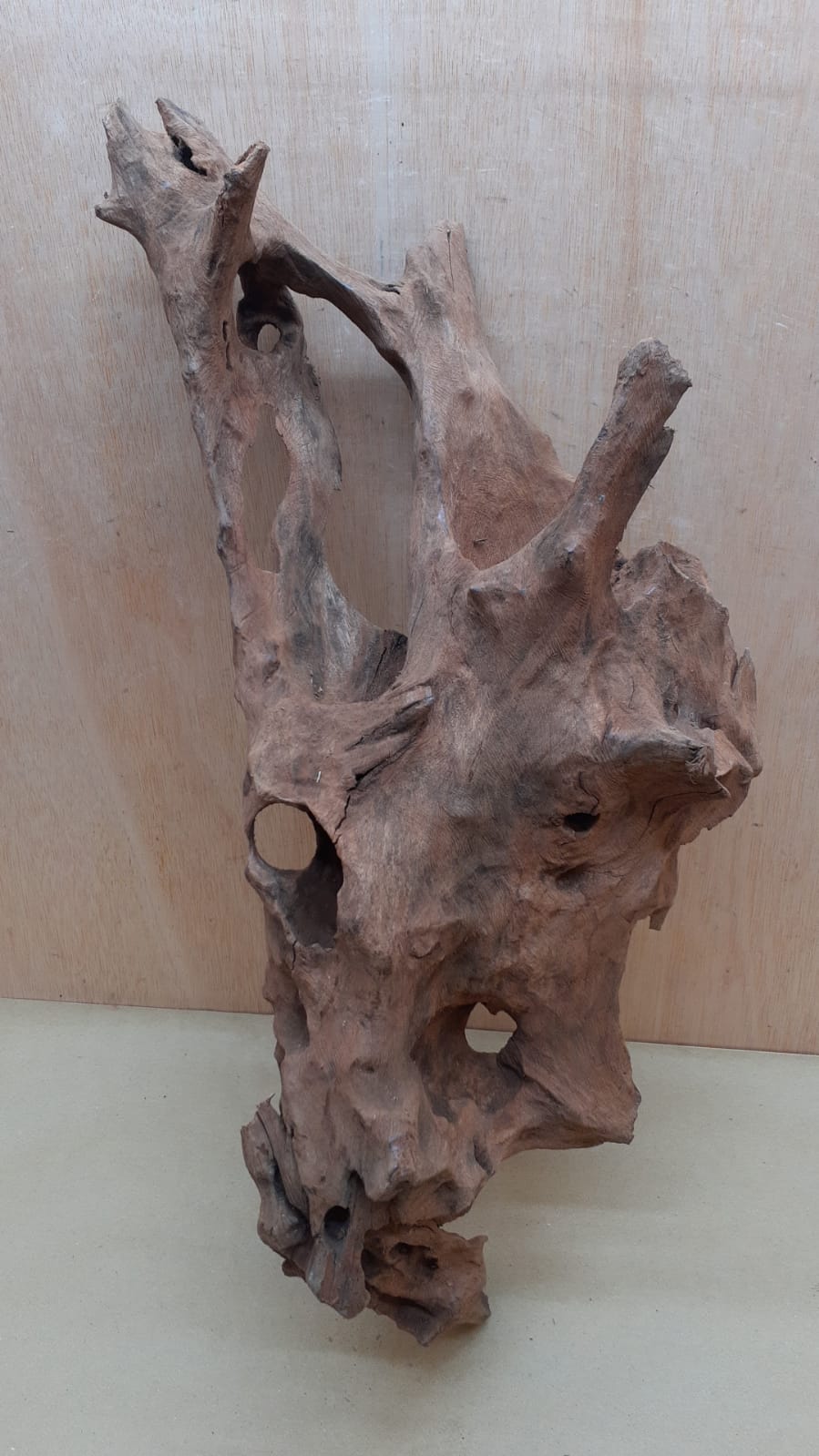 Driftwood - XL 15