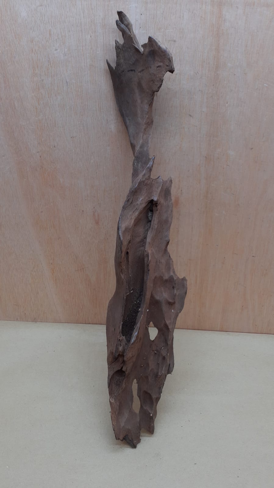 Driftwood - XL 16