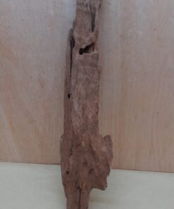 Driftwood - XL 19