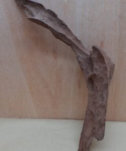 Driftwood - XL 20