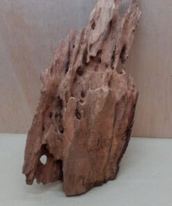 Driftwood - Large 2