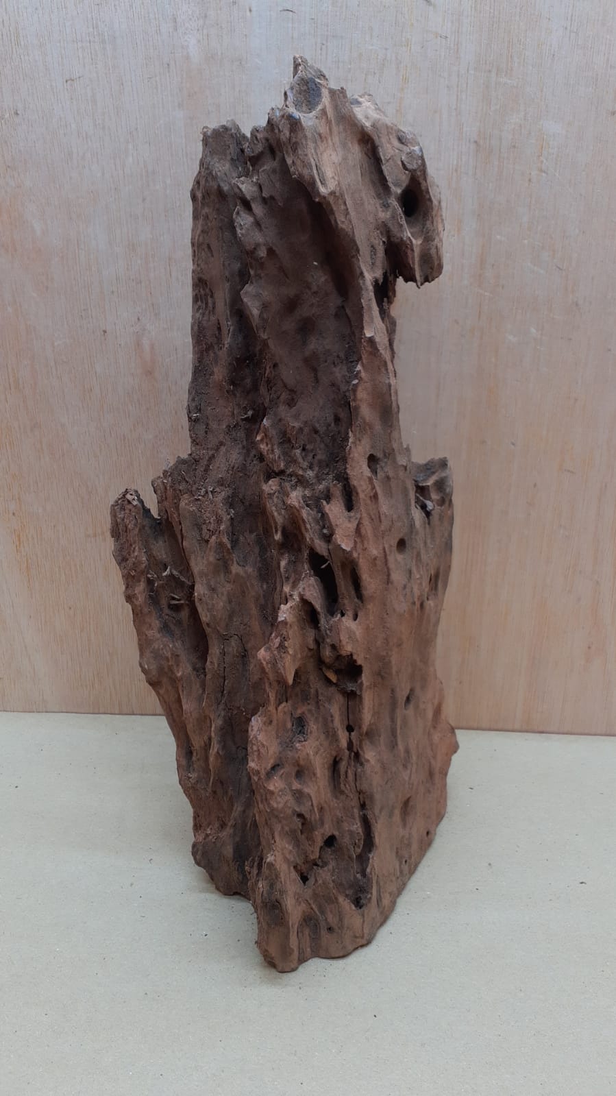 Driftwood - Large 14