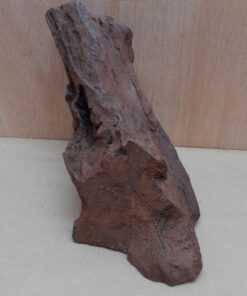 Driftwood - Medium 14