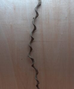 Curved Liana - Long - 20
