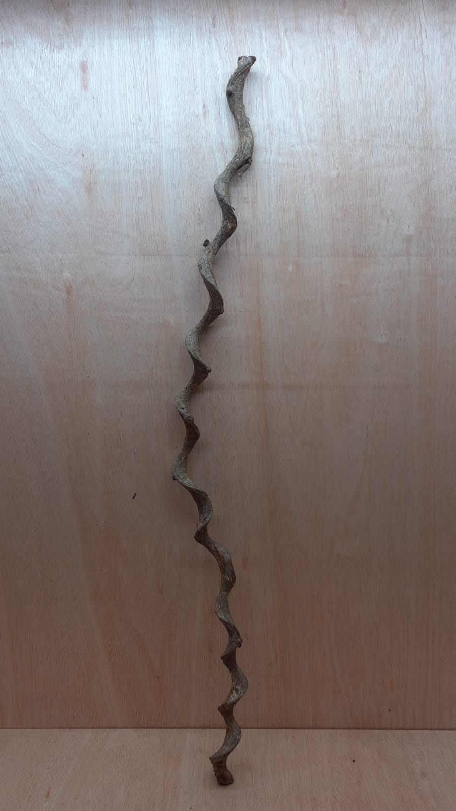 Curved Liana - Long - 20