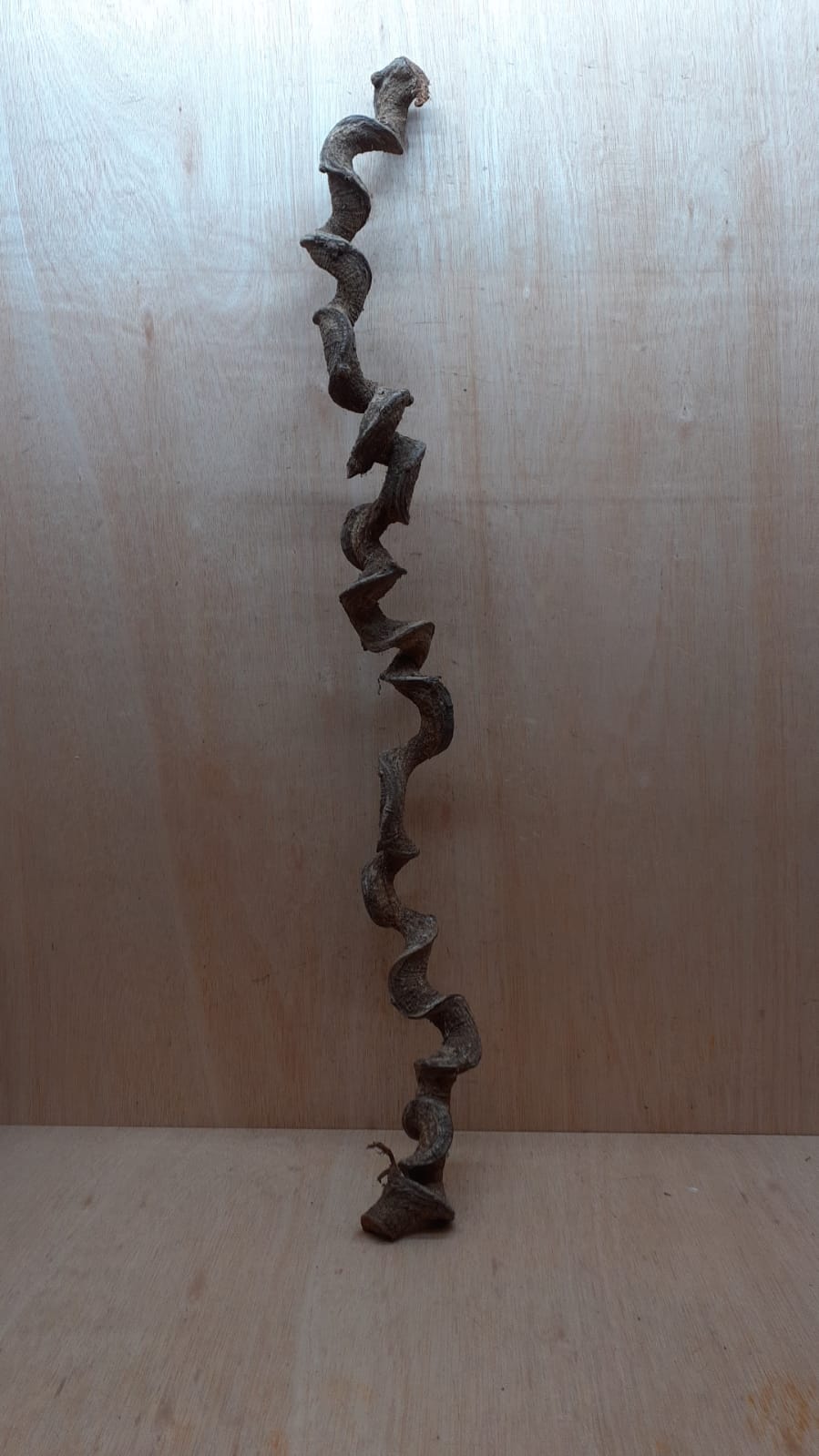 Curved Liana - Long - 11