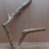 Java Wood - Double Stem - XL 18