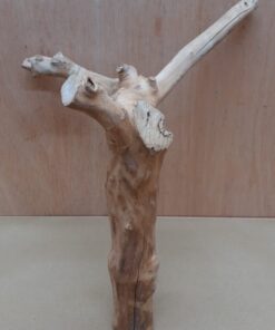 Java Wood - Double Stem - Medium 20