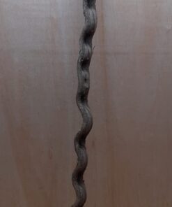 Monkey Ladder Liana - Long - 16