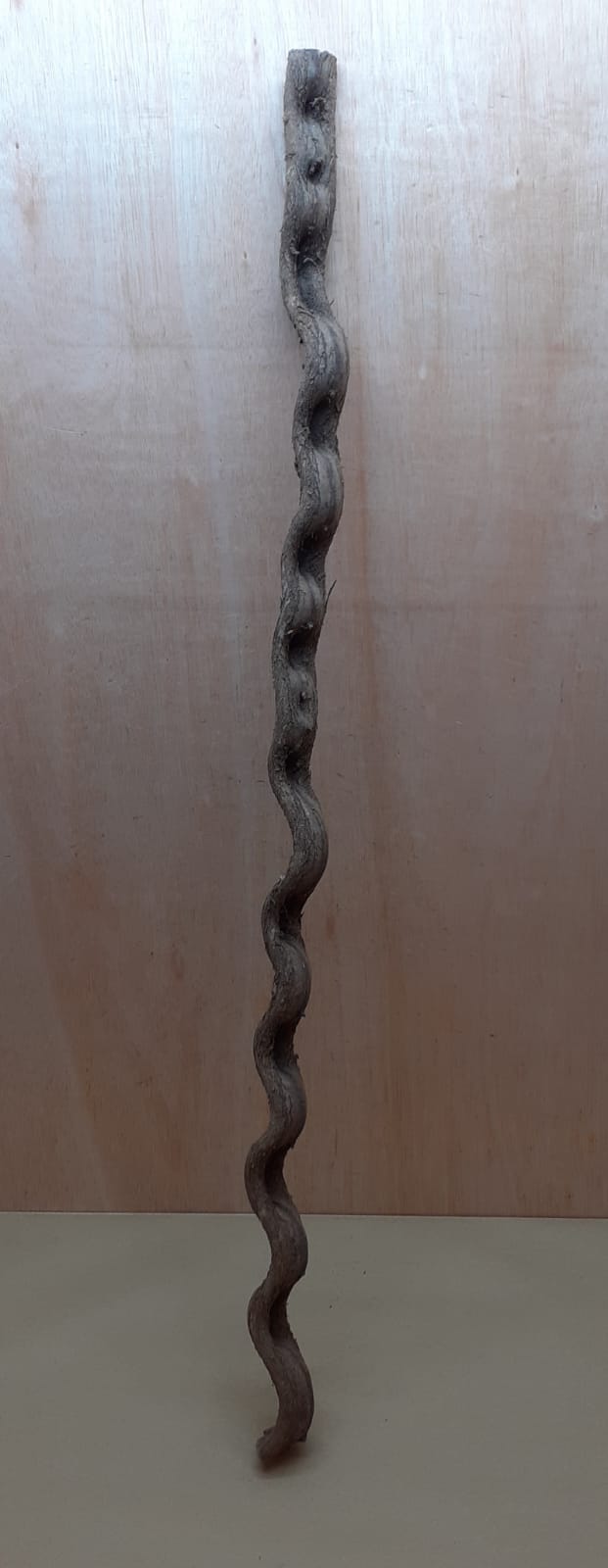 Monkey Ladder Liana - Long - 16