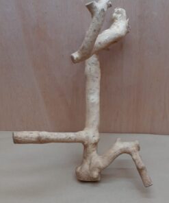 Java Wood - Double Stem - Medium 16