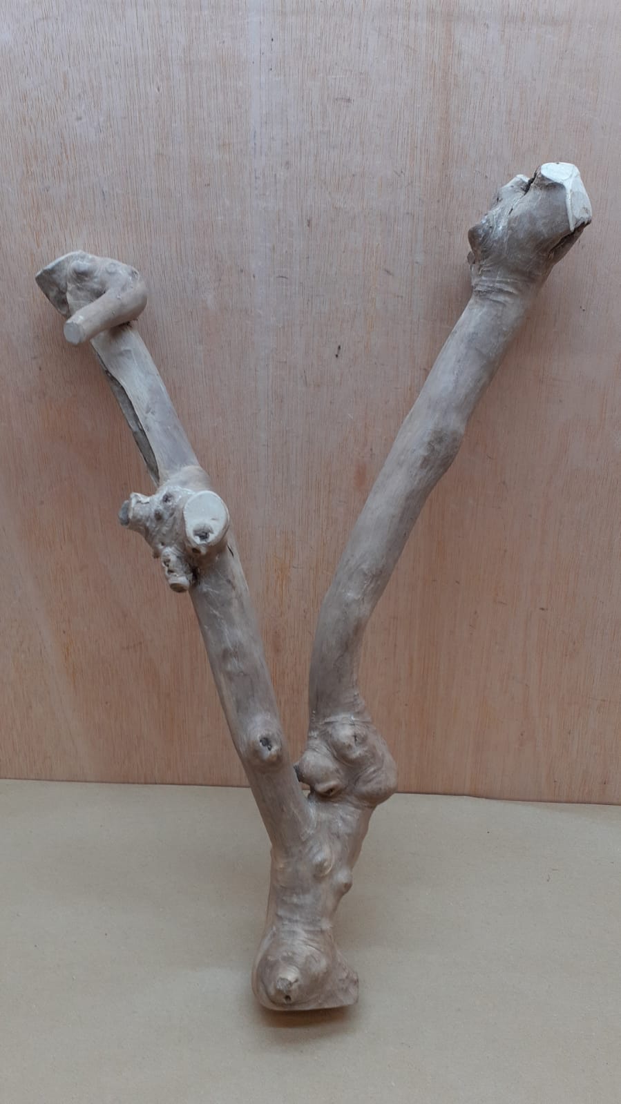 Java Wood - Double Stem - Large 14