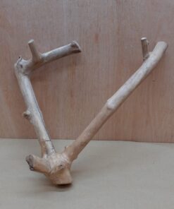 Java Wood - Double Stem - Medium 17
